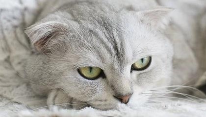 ky体育投注-【比赛总结】胜负背后隐藏的战术智慧，比赛有胜负的下一句