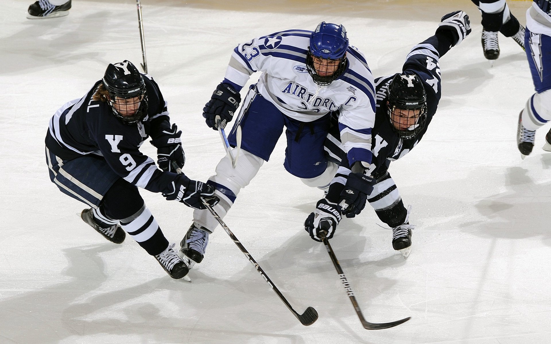 多特蒙德客场1-1战平沙尔克04，遭遇平局，多特蒙德和沙尔克的历史渊源
